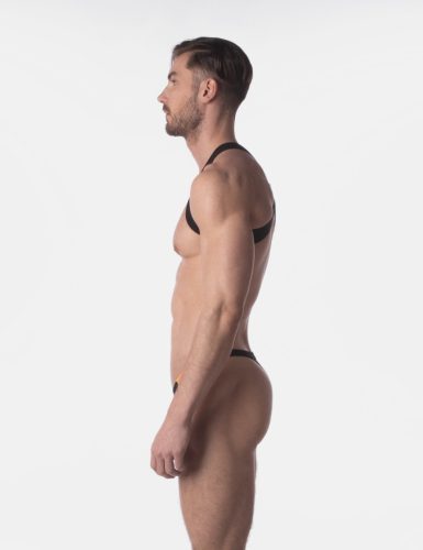 Dimensiunile hamului