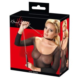 Zgarda și lesa pentru pisici proaste