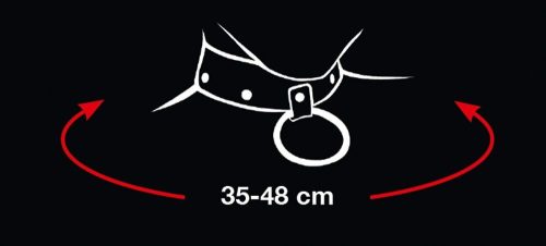 Zgarda și lesa pentru pisici proaste