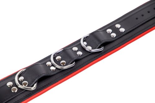 Párnázott bőr nyakörv 3 D-gyűrűvel – piros