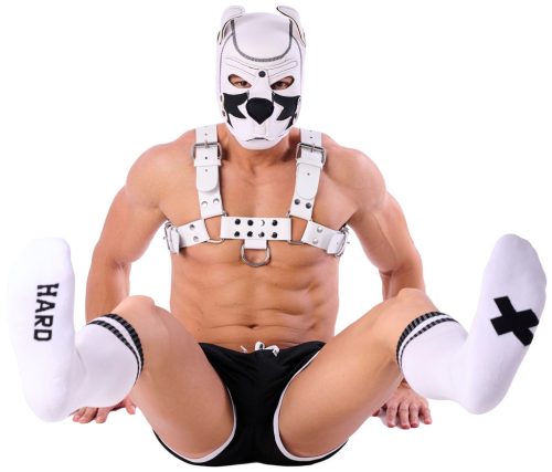 Hard SneakXX – prémium magas zokni fehér-fekete kombinációban