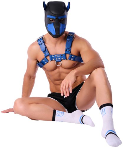 Suck University Socks – stílusos zokni szenvedélyhez