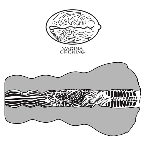 Masturbatorul de plăcintă al extraterestrulor #3_B15O50_3