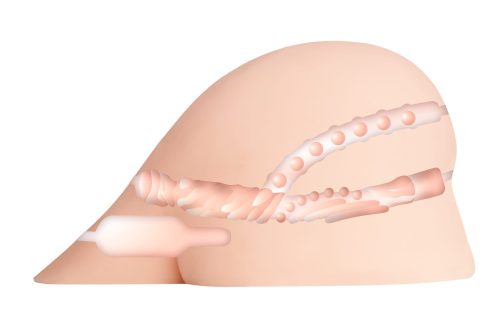 XXX To-Go cu CONTROLLER I