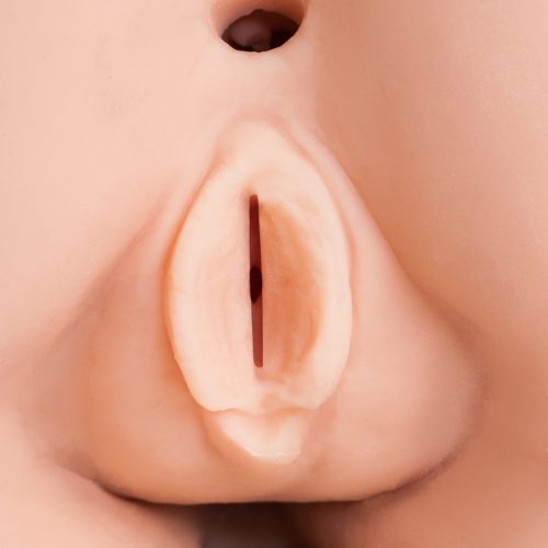 XXX To-Go cu CONTROLLER III