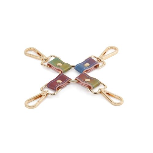 Spectra Bondage - Hogtie - Rainbow_B15O25_2